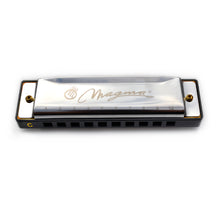 Load image into Gallery viewer, Magma Harmonica, 10 Holes 20 Tones Blues Diatonic Harmonica Key of C For Adults, Beginners, Professional Player and Kids, as Gift, Silver (H1004S)