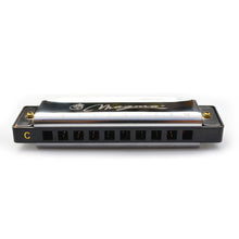 Load image into Gallery viewer, Magma Harmonica, 10 Holes 20 Tones Blues Diatonic Harmonica Key of C For Adults, Beginners, Professional Player and Kids, as Gift, Silver (H1004S)