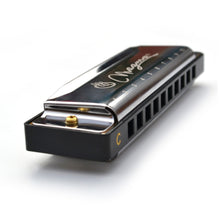 Load image into Gallery viewer, Magma Harmonica, 10 Holes 20 Tones Blues Diatonic Harmonica Key of C For Adults, Beginners, Professional Player and Kids, as Gift, Silver (H1004S)