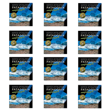 Load image into Gallery viewer, Patagonia Acoustic Guitar 12 Strings Regular Light Gauge 85/15 Bronze Set, .010 - .048 (GA120G12)