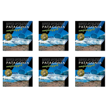 Load image into Gallery viewer, Patagonia Acoustic Guitar 12 Strings Regular Light Gauge 85/15 Bronze Set, .010 - .048 (GA120G12)