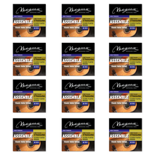 Load image into Gallery viewer, Magma Classical Guitar Strings High Tension ASSAMBLE Nylon-Carbon - Silver Plated Copper (GC120A)