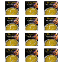 Load image into Gallery viewer, Magma Classical Guitar Strings TRANSPOSITOR SI-B BARITONE - Silver Plated Copper (GCT-BARI)
