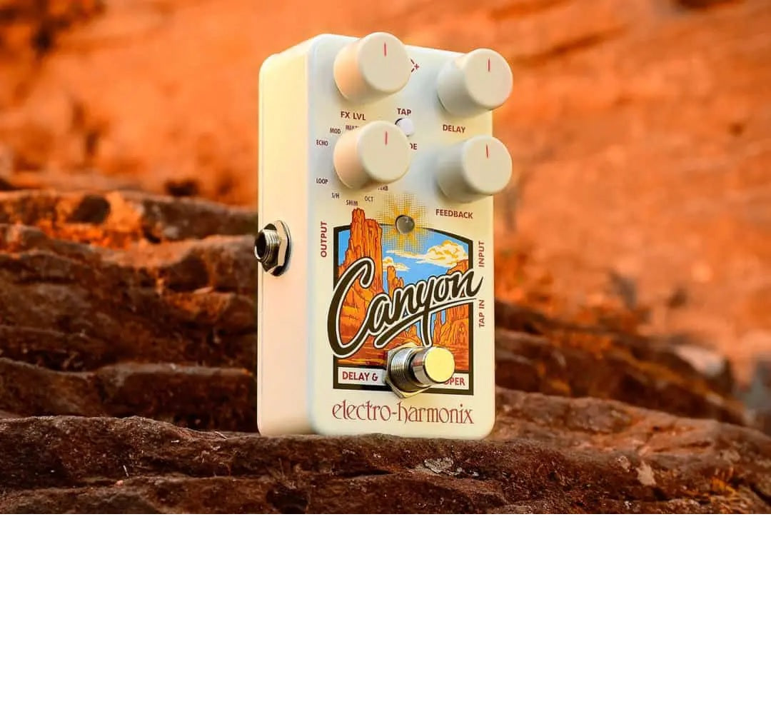 Canyon Delay and Looper Pedal : Electro-Harmonix