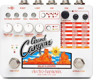 Electro-Harmonix Grand Canyon Delay & Looper Guitar Effect Pedal