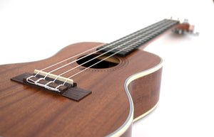 Magma Soprano Ukulele 21 inch Professional SAPELI WOOD LINE with filete, strap pins installed, bag and Preamp EQ (MKS30EQ).
