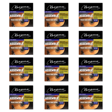 Load image into Gallery viewer, Magma Classical Guitar Strings High Tension ASSAMBLE Nylon-Carbon - Silver Plated Copper (GC120A)
