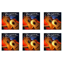 Load image into Gallery viewer, Magma VIHUELA MEXICANA Strings Nylon Fluorescente Set (VM120NF)

